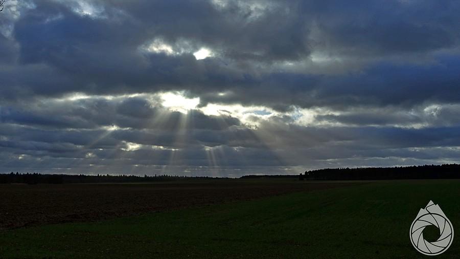 landszafty zachodnie