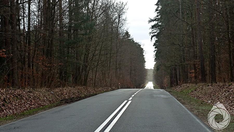drogi wśród lasów bobrowych na Urad