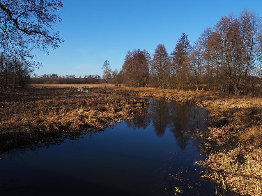 Ilanka za Starościnem