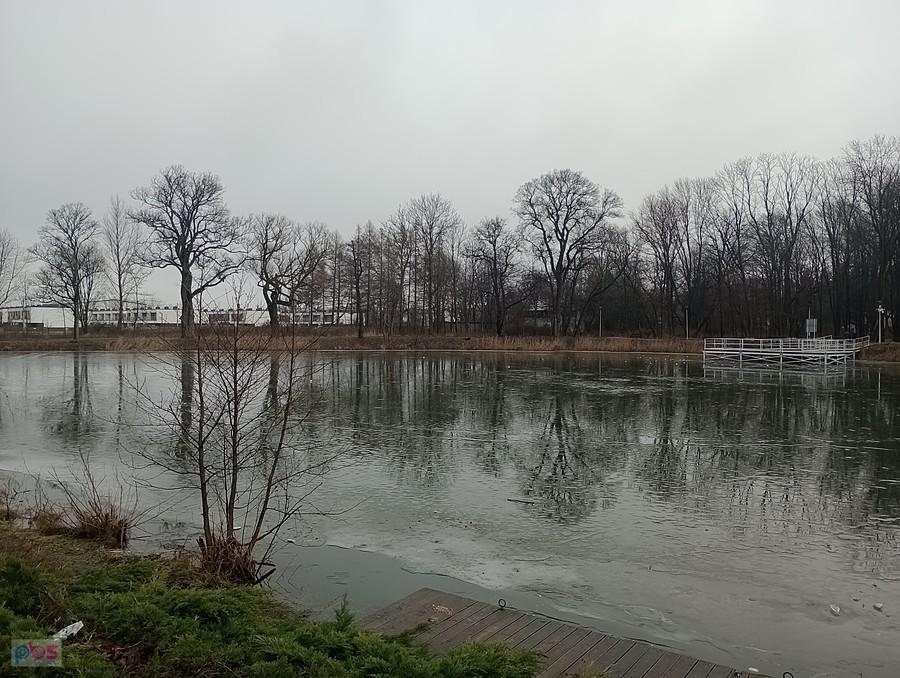 Staw w Ołtarzewie