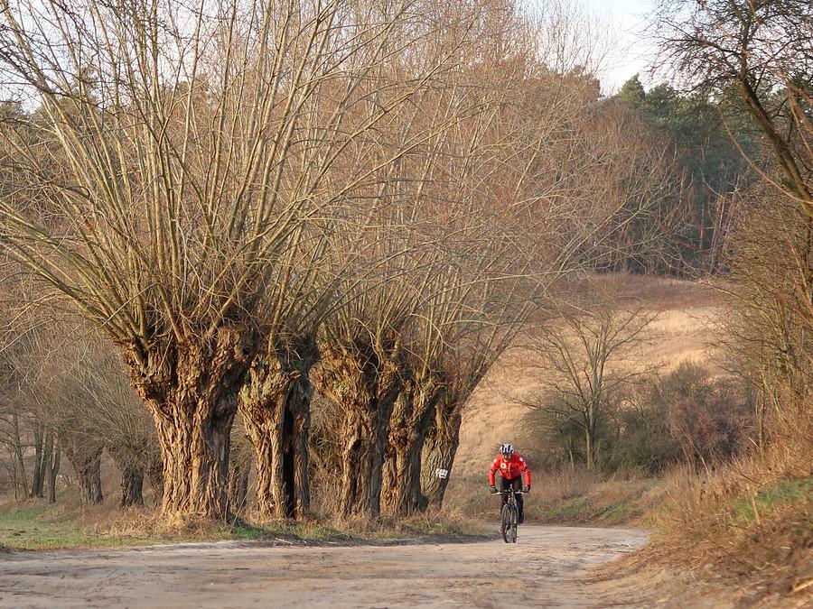 I na koniec fotka dnia z popołudniowym i słonecznym klimatem