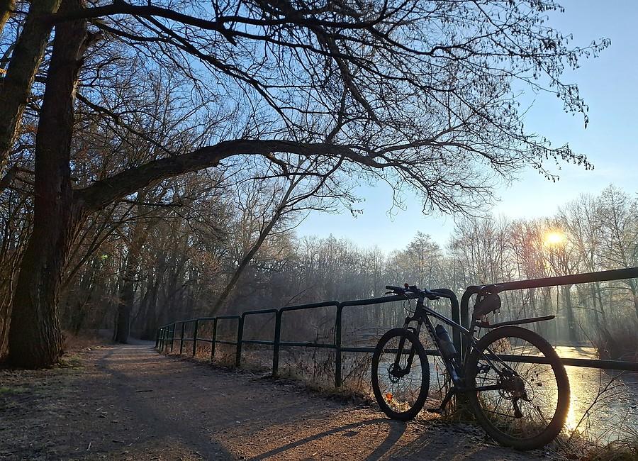 Rower na Dębinie
