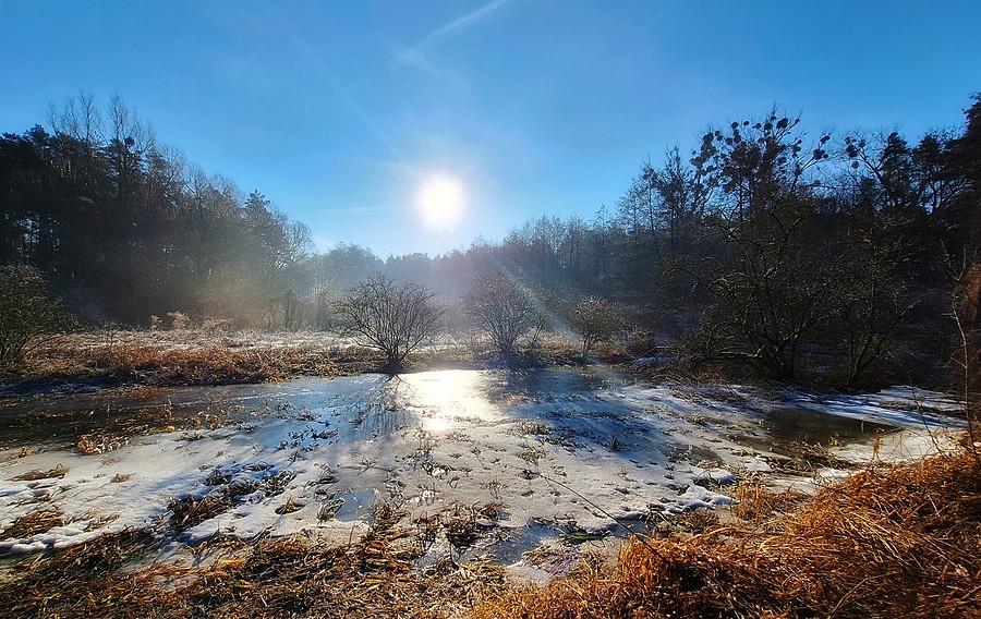 Słońce nad uroczyskiem