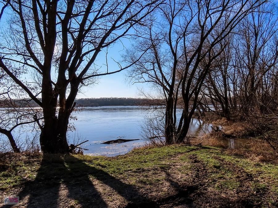 Chaszcze nad Wisłą