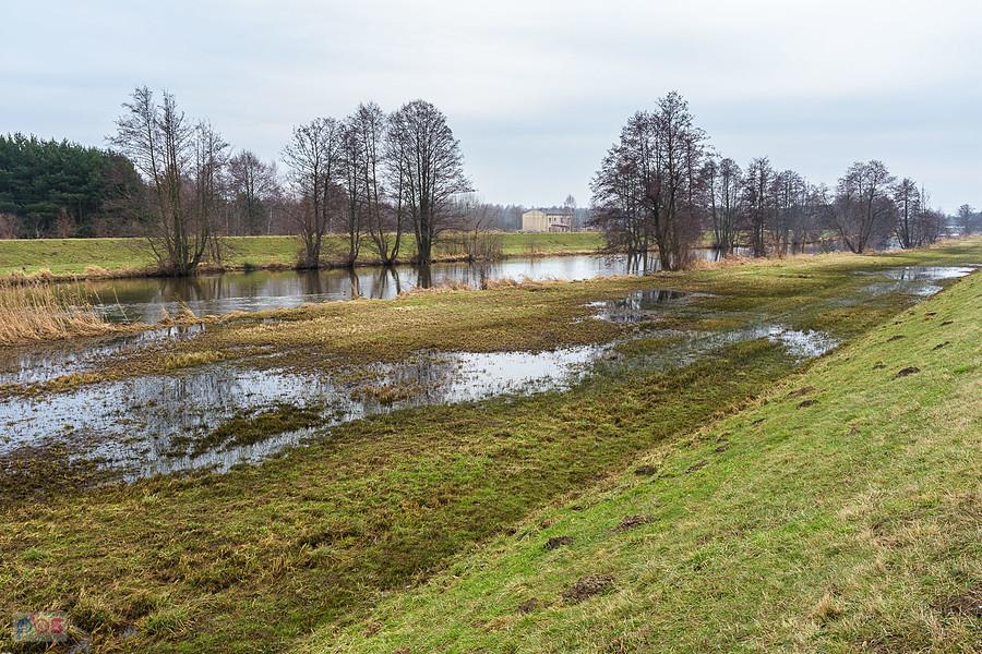 Warta na obrzeżach Częstochowy