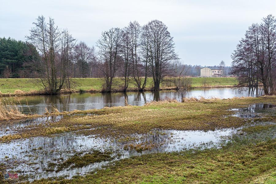 Warta na obrzeżach Częstochowy