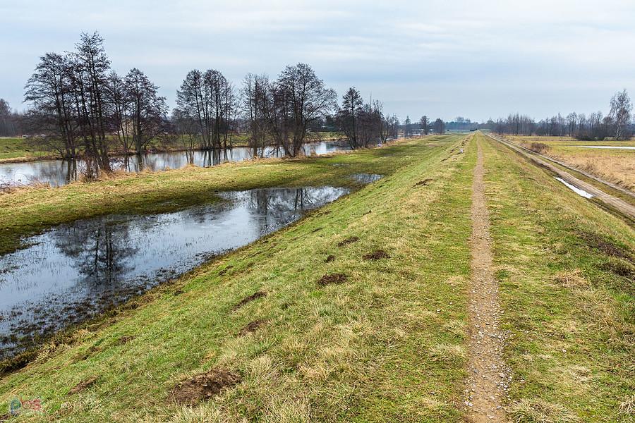 Warta na obrzeżach Częstochowy