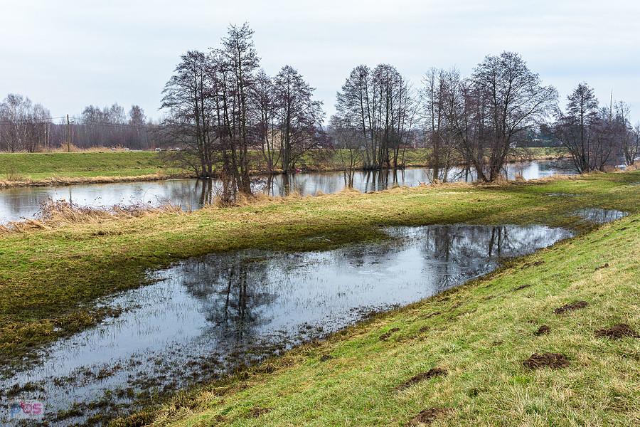 Warta na obrzeżach Częstochowy