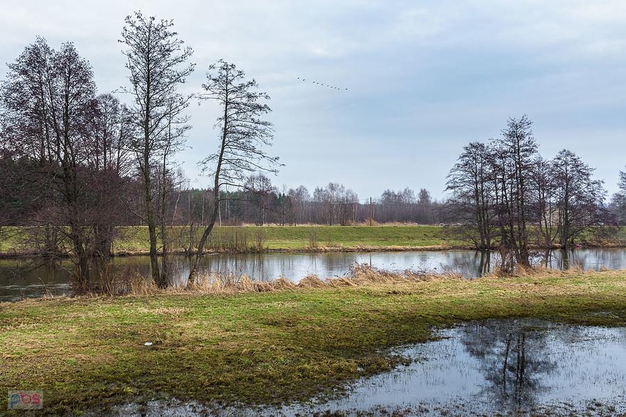 Warta na obrzeżach Częstochowy