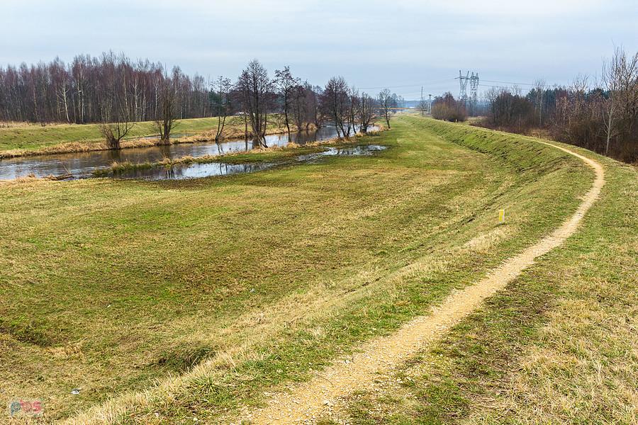 Warta na obrzeżach Częstochowy
