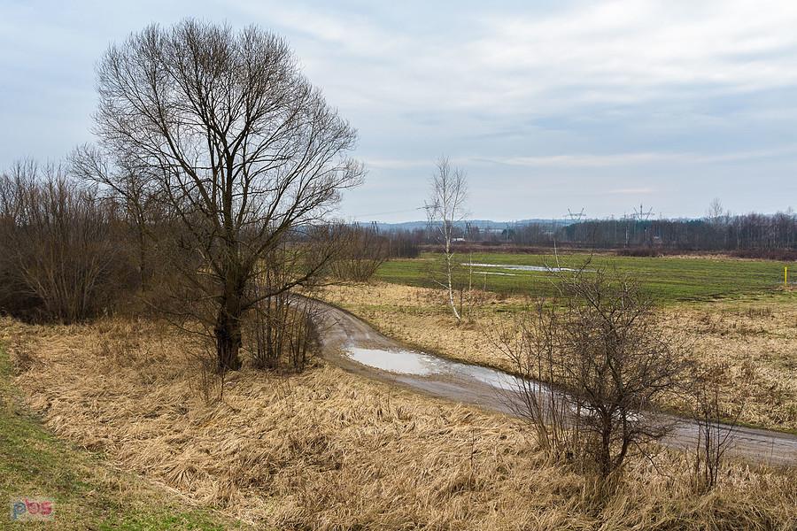 Polna droga w kierunku miejscowości Słowik