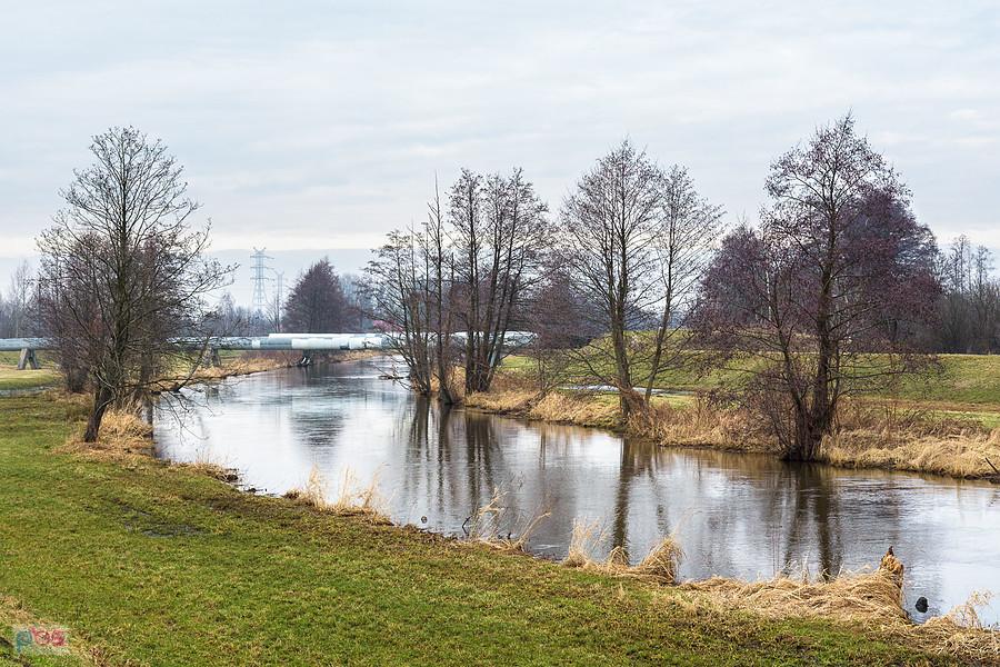 Warta na pograniczu Częstochowy i Słowika
