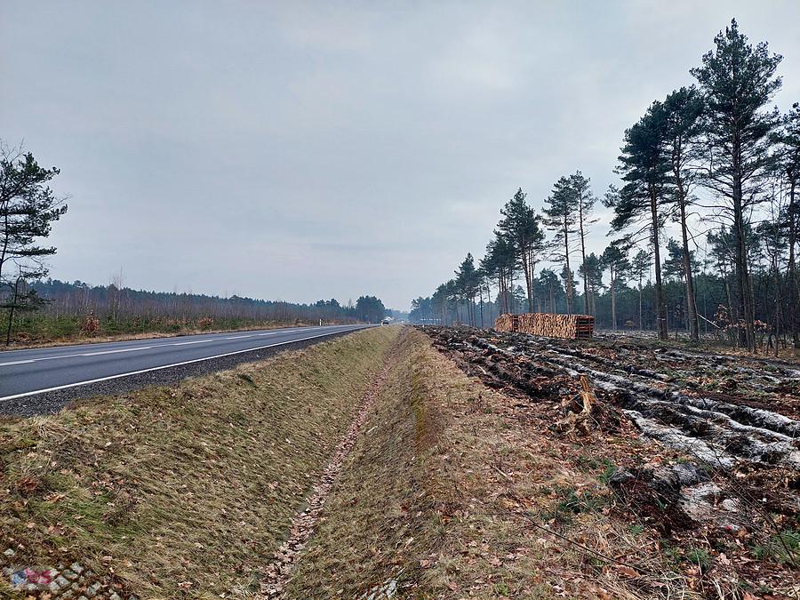Masłońskie w gminie Poraj, efekt jesiennej wycinki w pobliżu zbiornika wodnego, po lewej droga wojewódzka DW 791