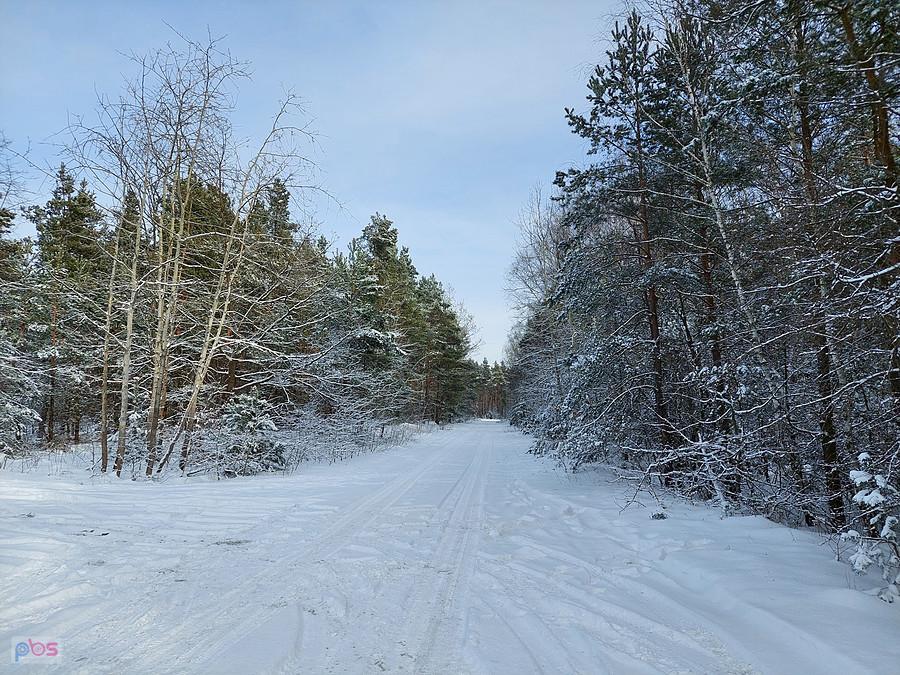 Częstochowa, Kręciwilk
