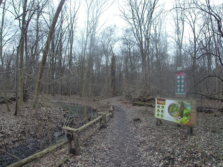 Las Bielański