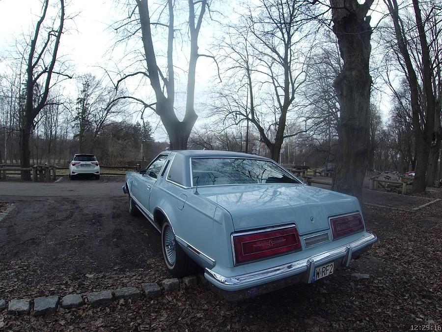 Ford Thunderbird tył
