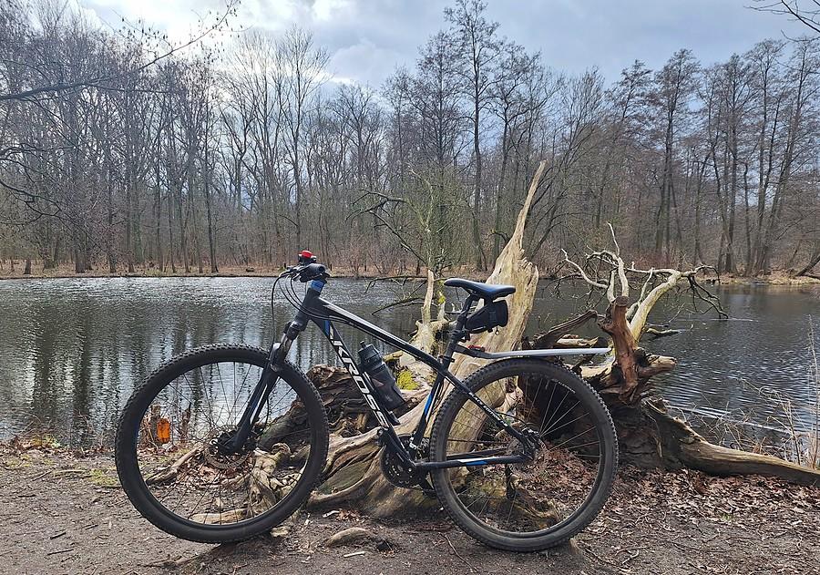 Chwila na Dębinie