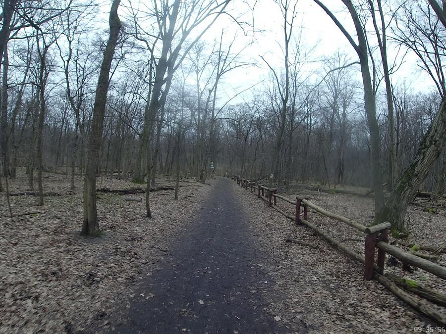 Las Bielański