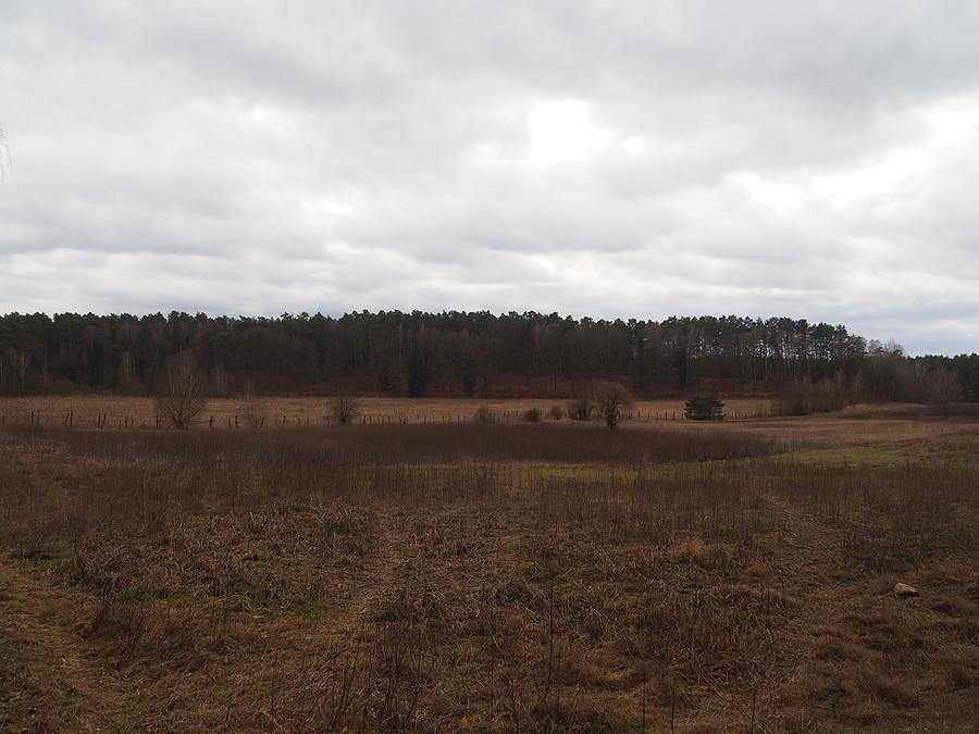 Okolice Kurwiej Góry (118 m.n.p.m)