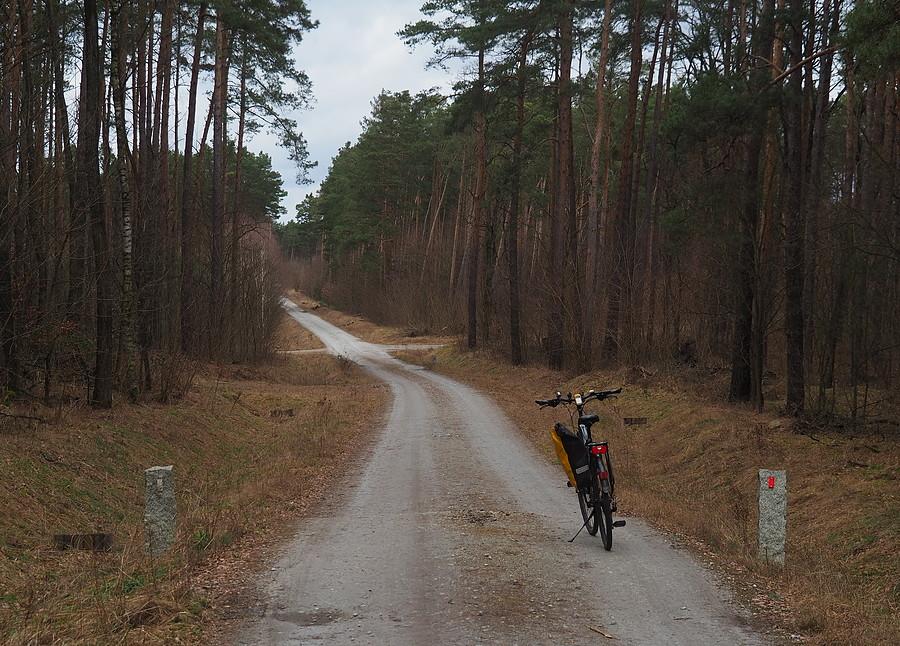 Szutrówka omijająca Radzików od wschodu