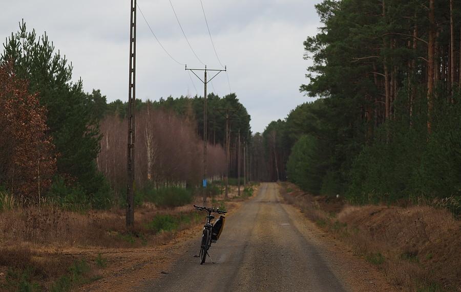 Droga pożarowa nr.7, między Szkółką Radzików a Sądowem