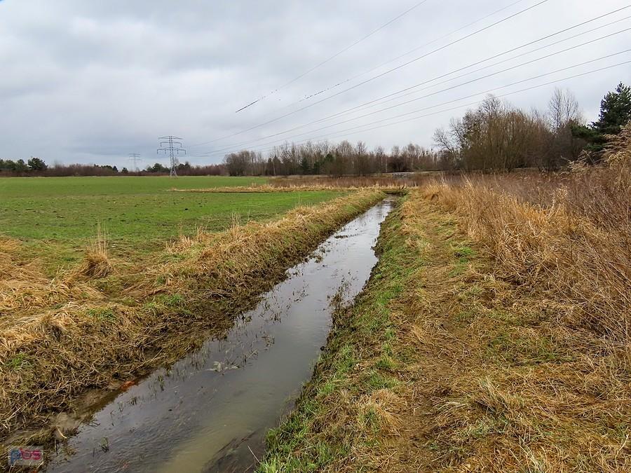 Rów Jeziorki