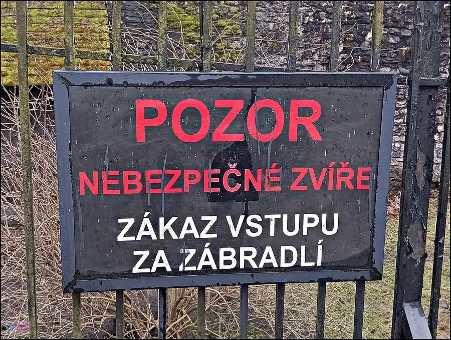 Ostrzeżenie przed niedźwiedziem na zamku w Nachodzie