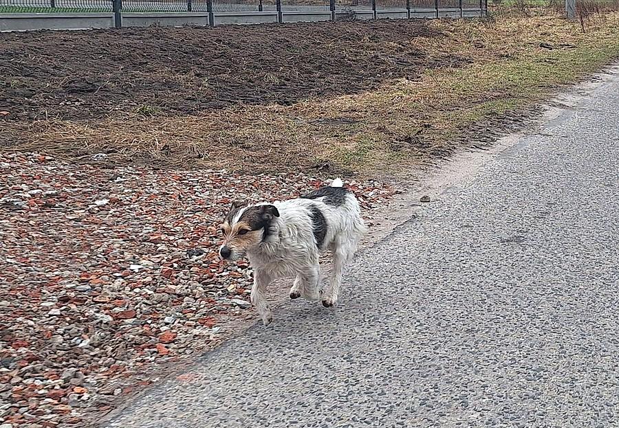 Znów mnie odprowadził