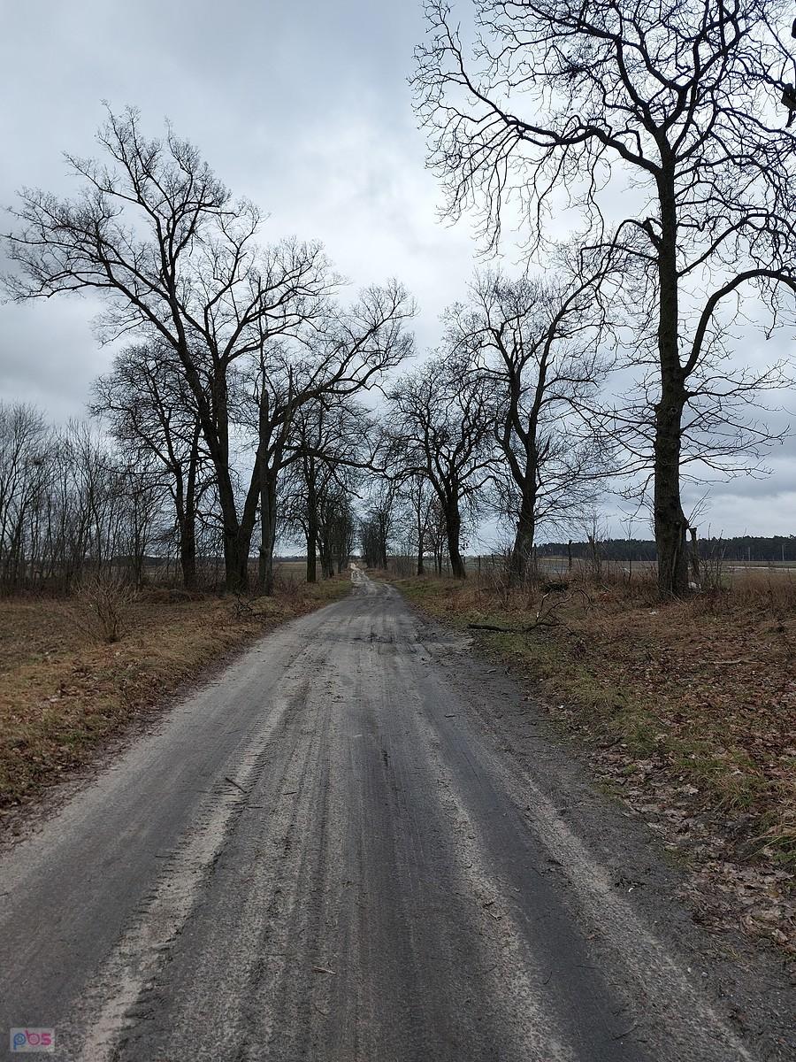 Lućmierz-Las, ul. Dębowa