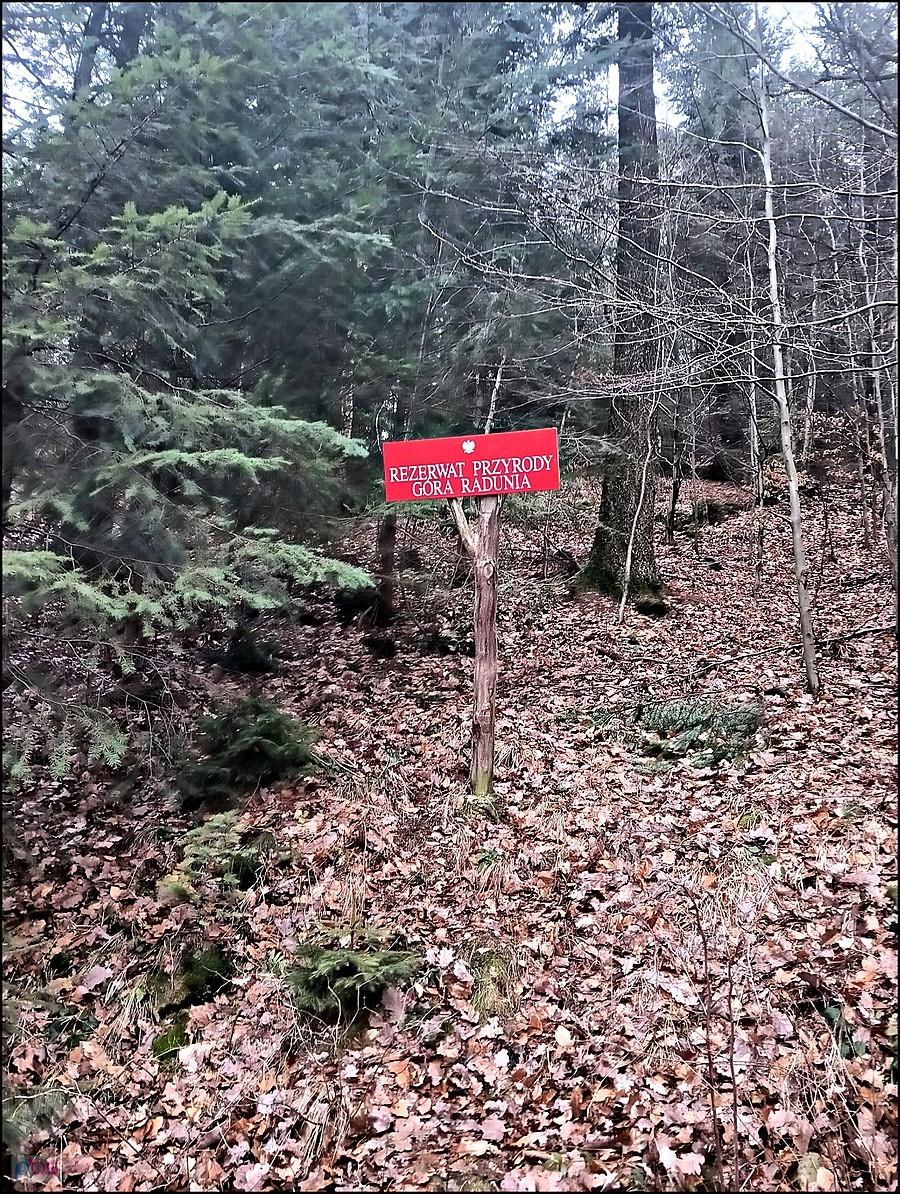 Park Krajobrazowy Góra Radnia