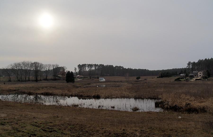 Staw w Lubiechni Małej