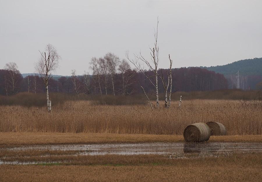 Okolice Połęcka