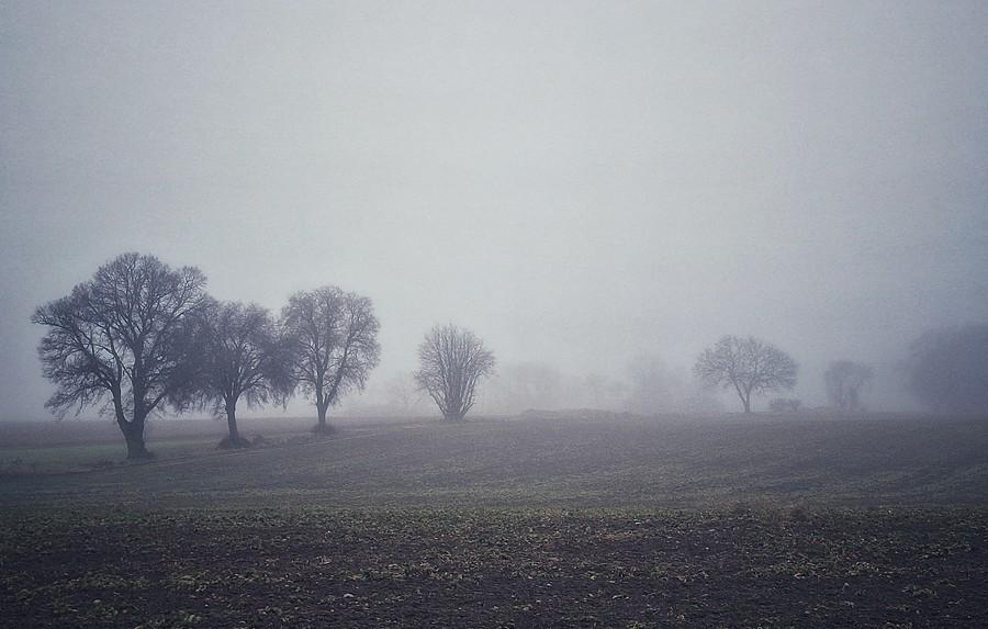 Mgła nad Lisówkami