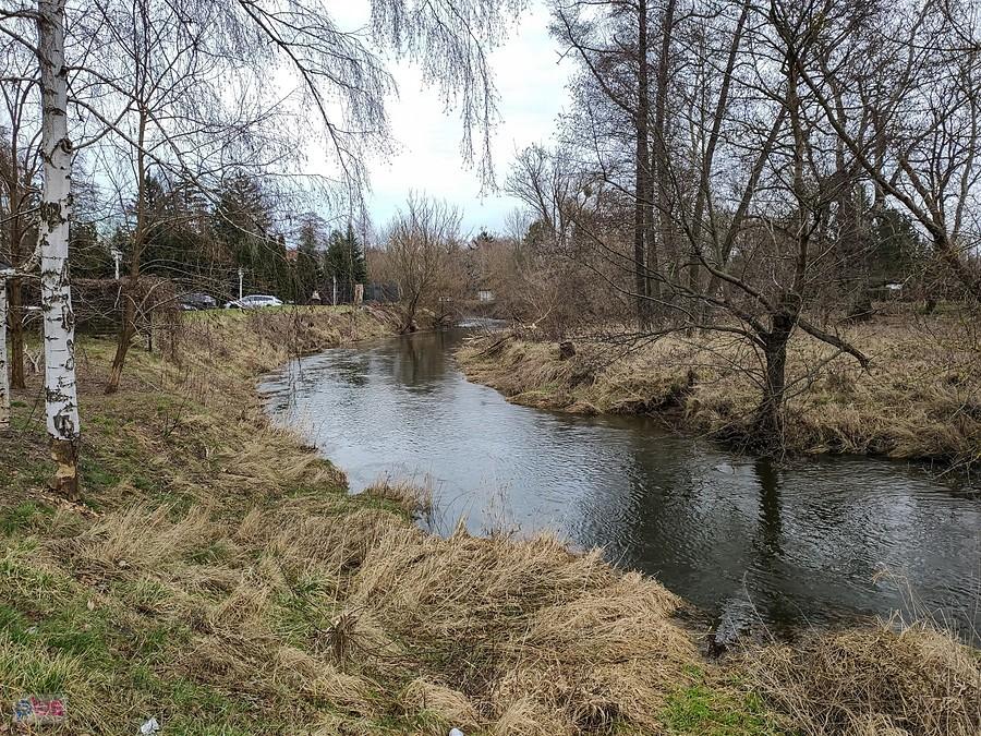 Jeziorka w Chyliczkach