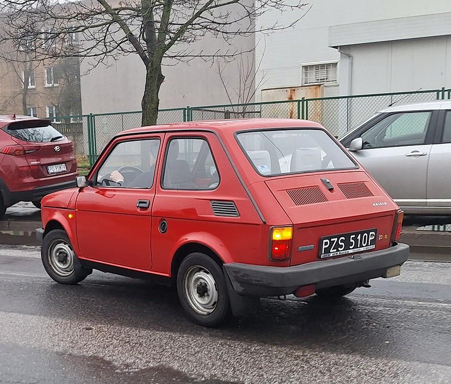 Maluch na Dębcu