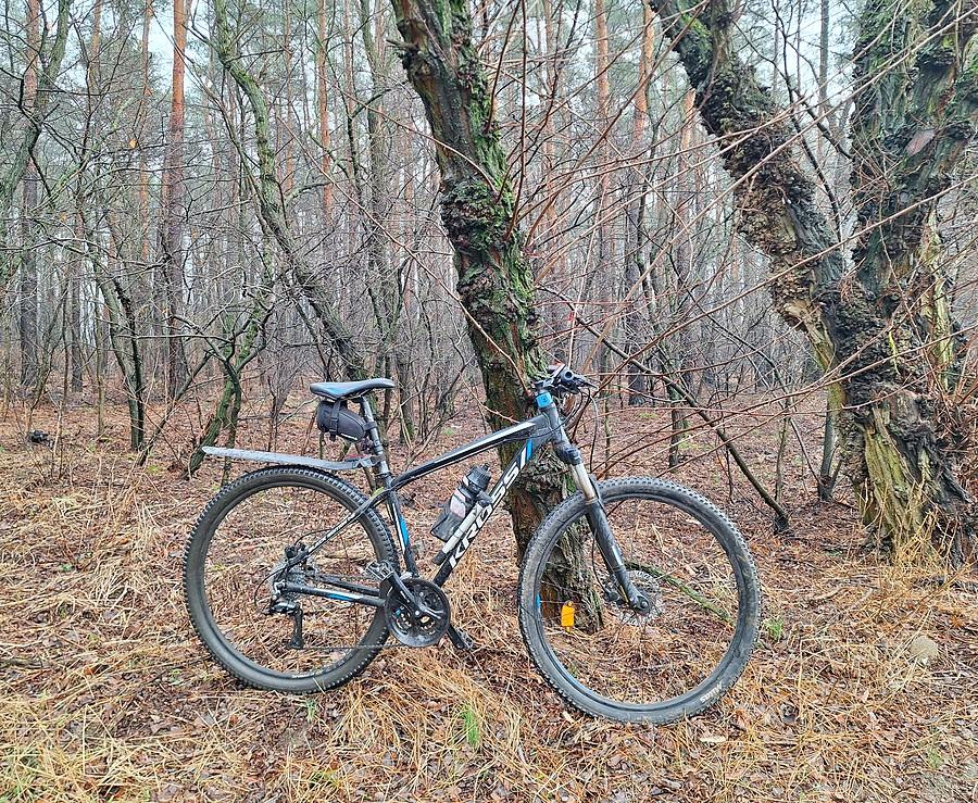 Leśna rowerówka