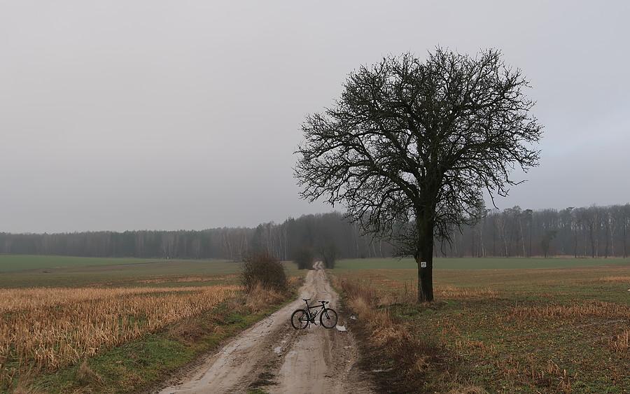 Terenowy klimack z mej trasy. W drodze do Śnieżycowego Jaru