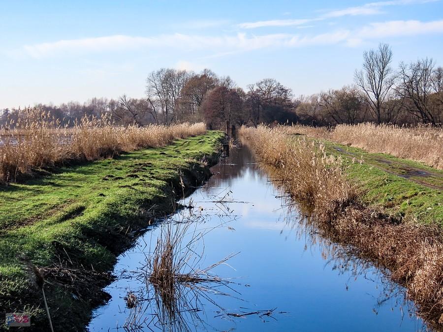 Kanał dostarcza wodę z Jeziorki do stawów
