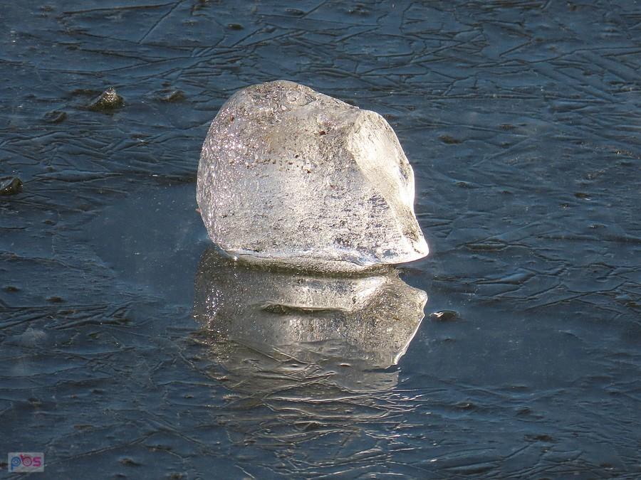 Diamencik lodowy