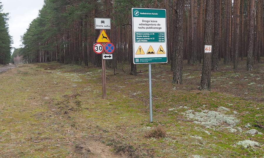 Nadmiar informacji