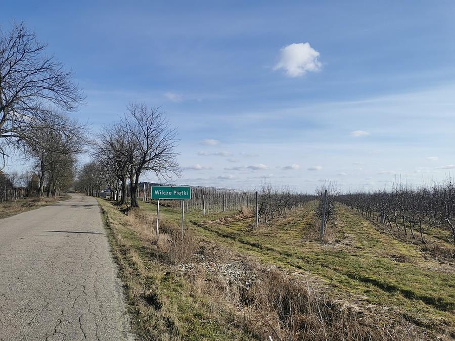 Wilcze Piętki