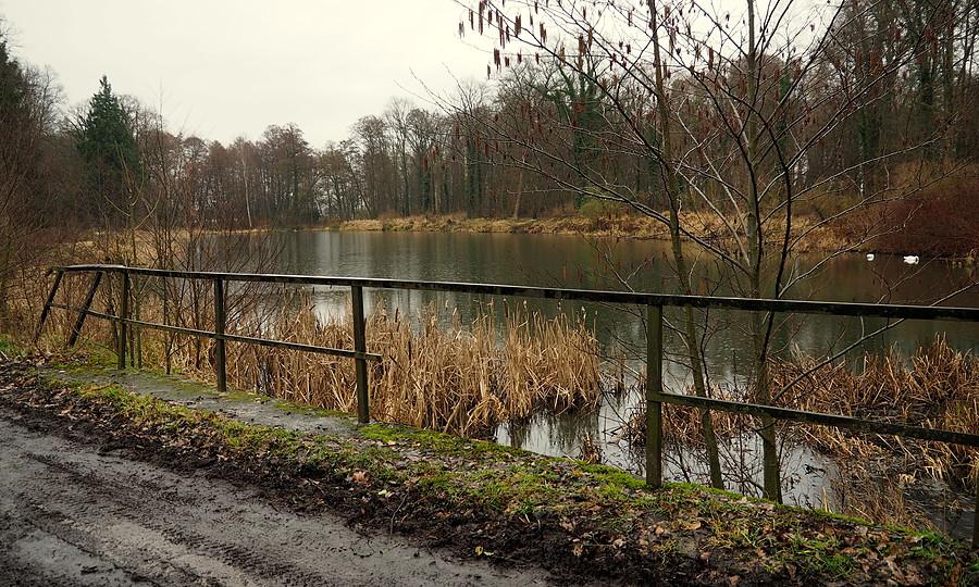Świniary, staw w dworskim parku