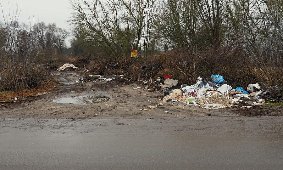 Przyjemny widok na zakończenie wycieczki