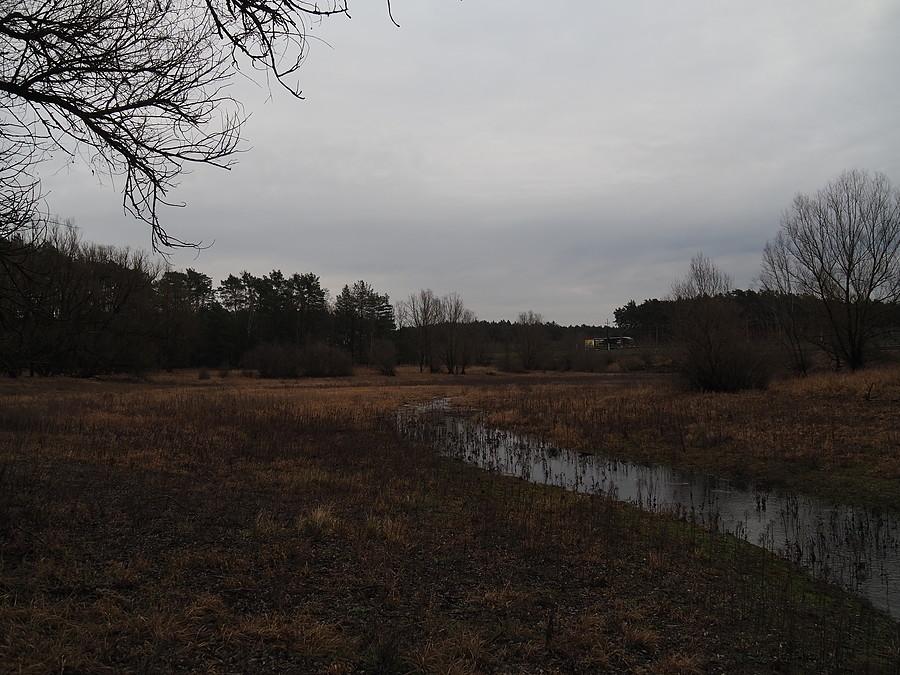Jezioro Bledzewskie znów zasilane wodą