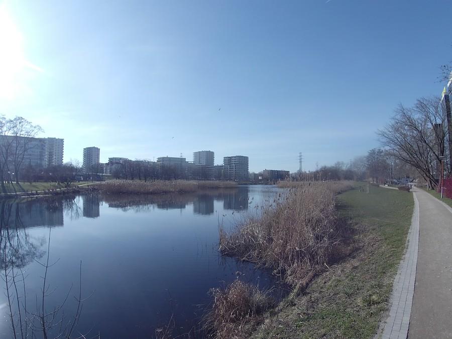 Staw Służewiecki