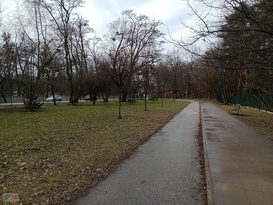 Mokro i ciepło, więc zaczyna się zielenic trawa