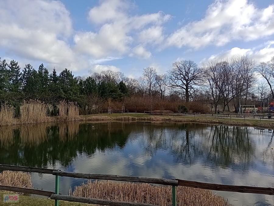 Staw w Borzęcinie