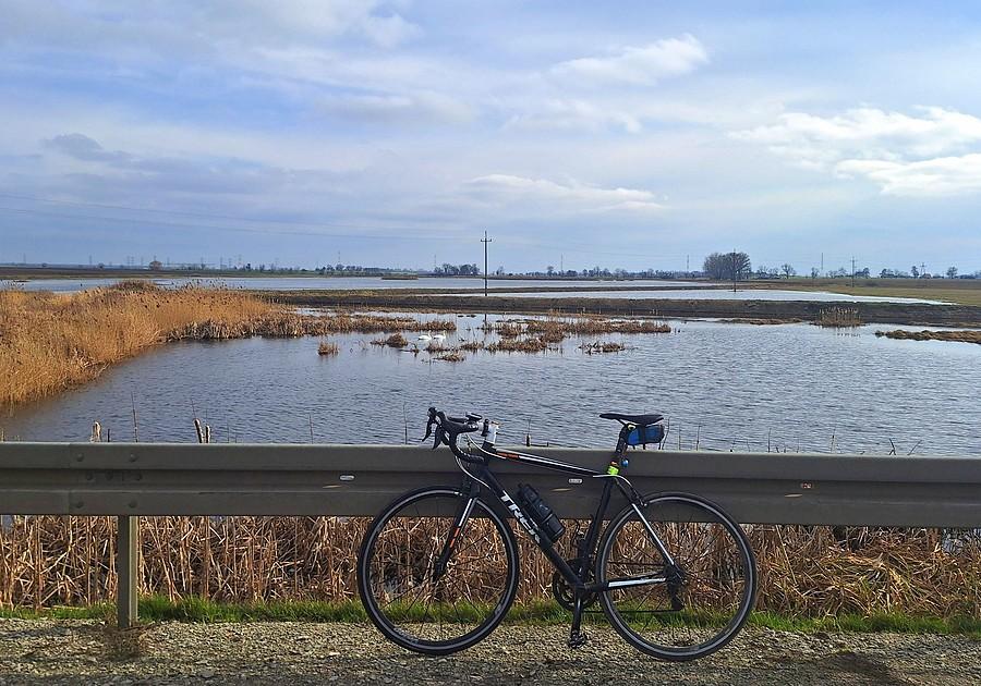 Rowerówka ze Szczodrzykowa