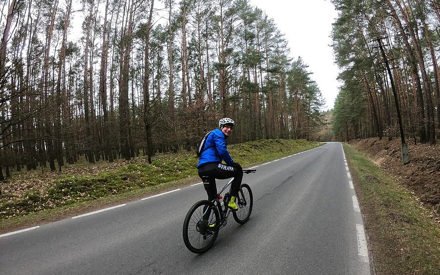 Kompan mówi że jest fajnie w takim dużym i klimatycznym lesie :)