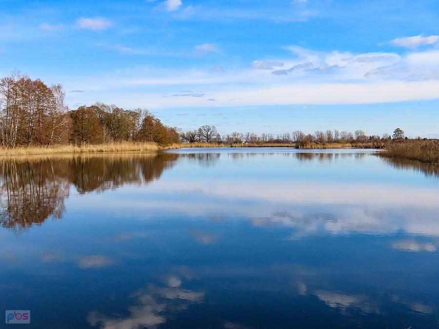 Staw Rozgrodzony - widok w kierunku wsch.